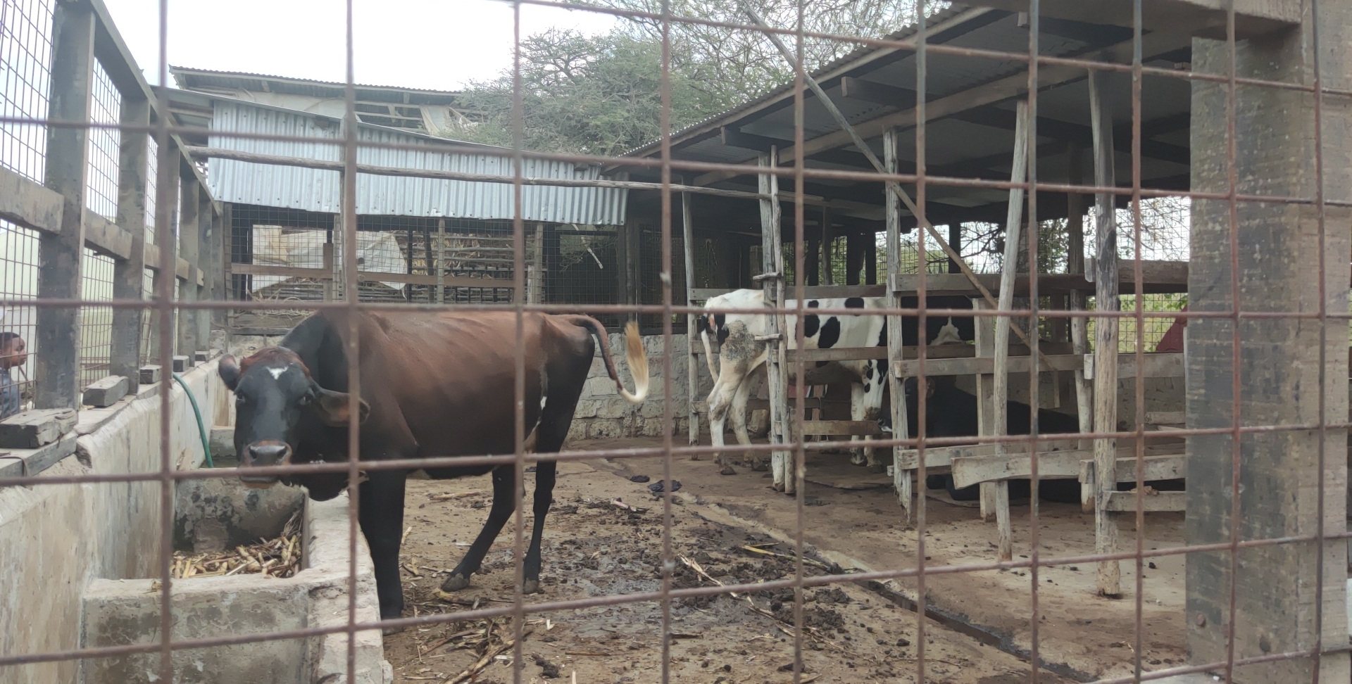 Economic Empowerment